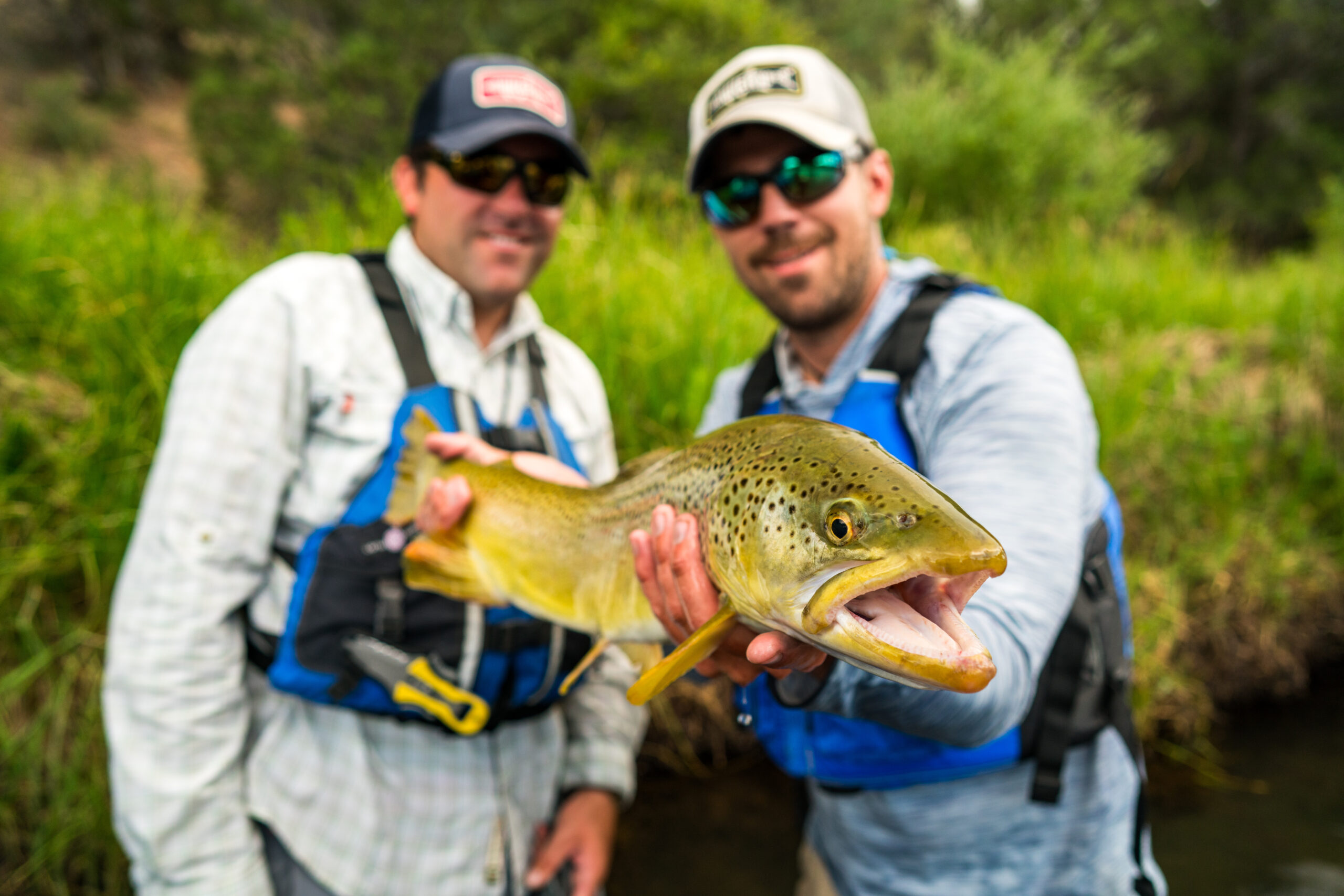 Animas_Swingle_TFHP_hi-res-09633-scaled-3