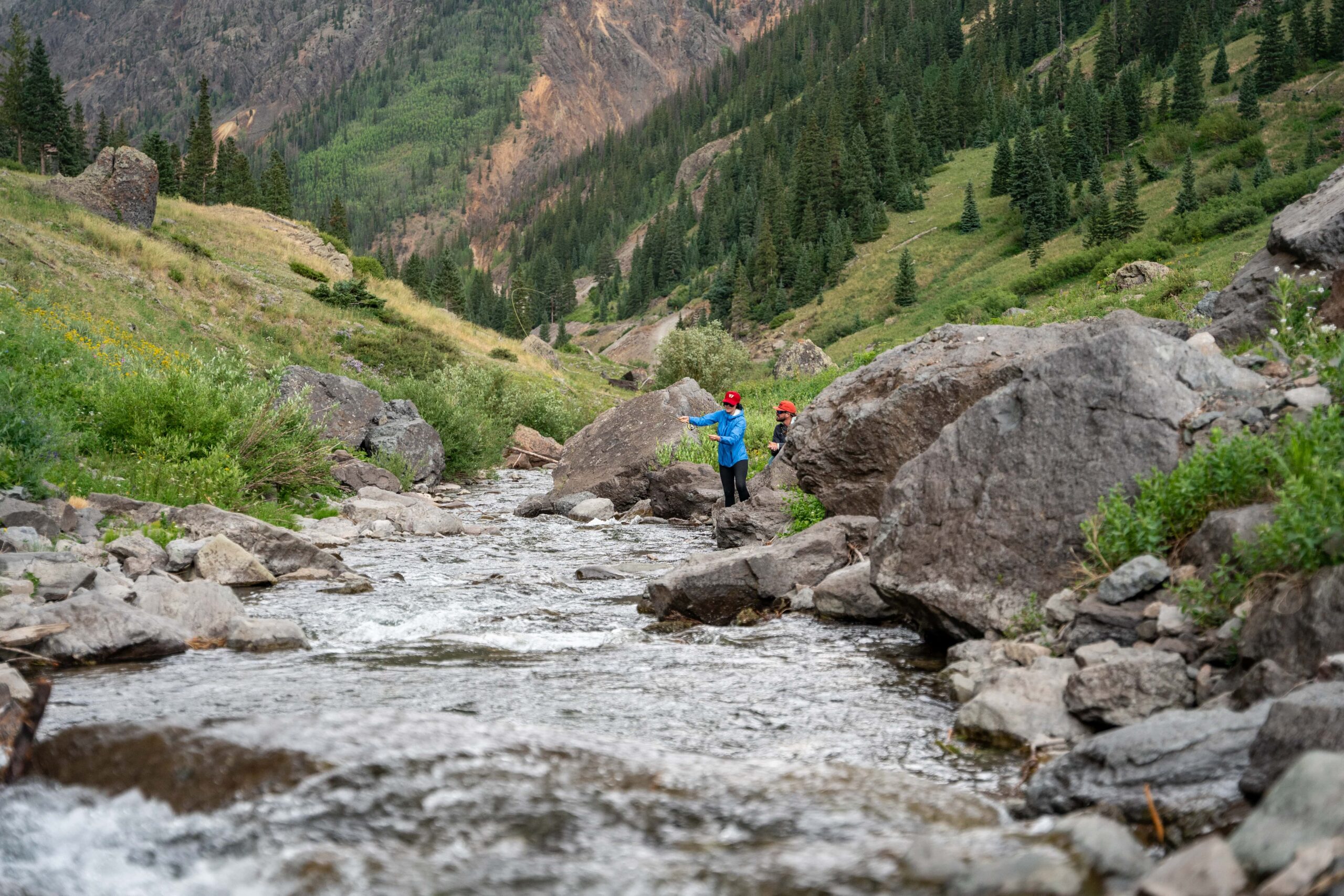 Creeks_Swingle_TFHP_hi-res-04938-min-scaled-2